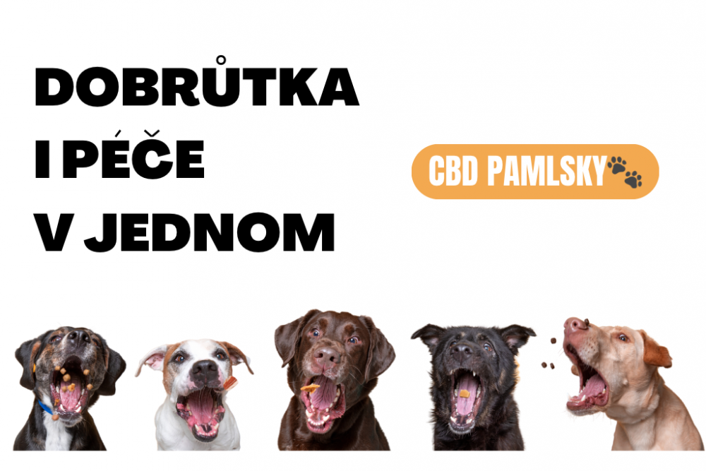 CBD pamlsky pro psy | Konotéka.cz 