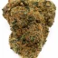 CBD konopí - Glookies - 1 g