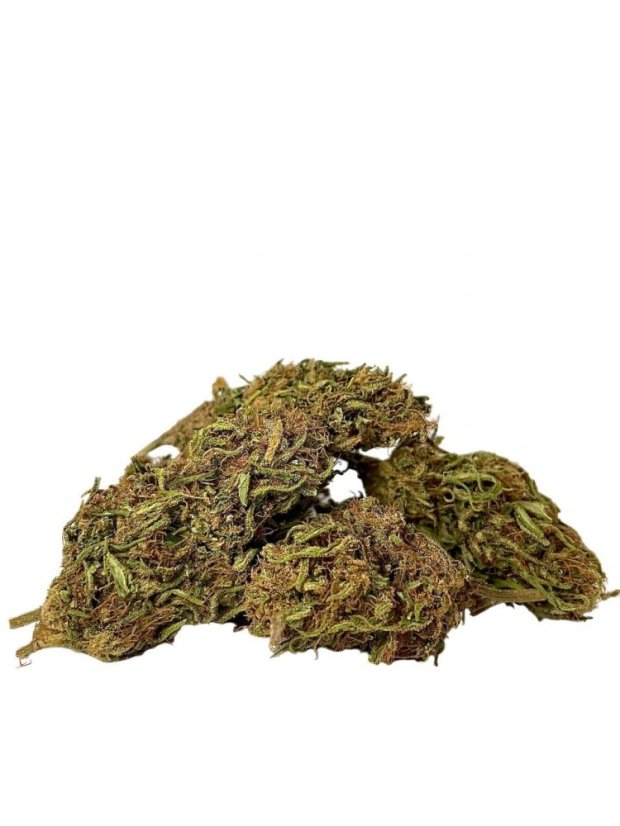 CBD konopí - Floberry Dream - Dobrý Šaman