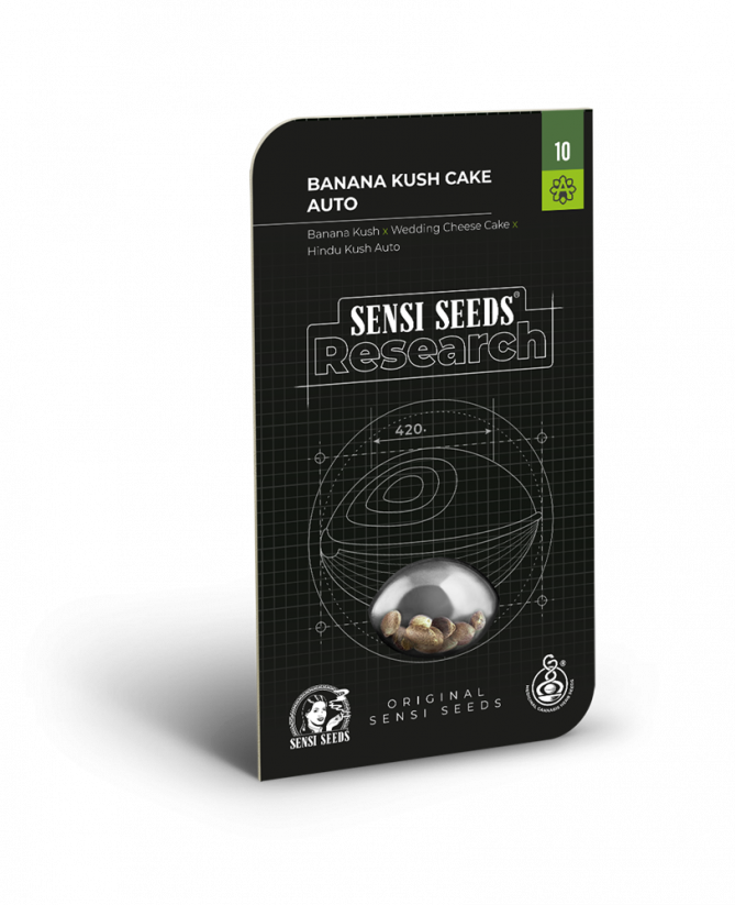 Banana Kush Cake Auto - samonakvétací semínka konopí - Počet semen v balení: 3, Výrobce: Sensi Seeds