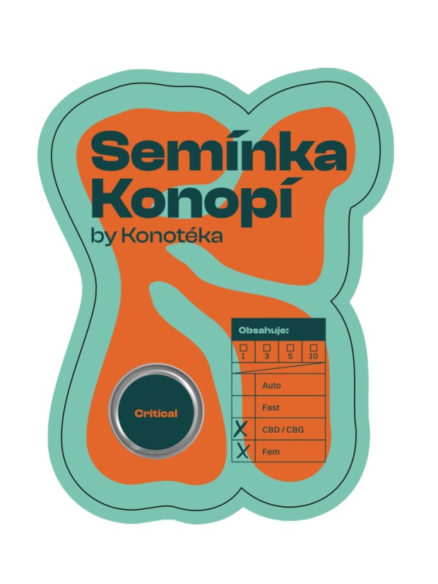 Critical CBG - feminizovaná semínka konopí