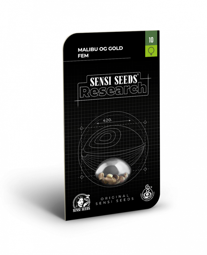 Malibu OG Gold - feminizovaná semínka konopí - Počet semen v balení: 5, Výrobce: Sensi Seeds