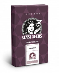 Sensi Seeds Jamaican Pearl