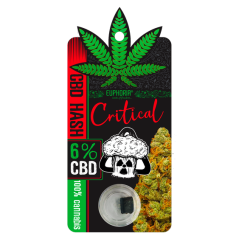 CBD hašiš z odrůdy Critical - 6 % CBD