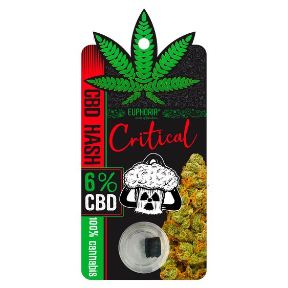 CBD hašiš z odrůdy Critical - 6 % CBD