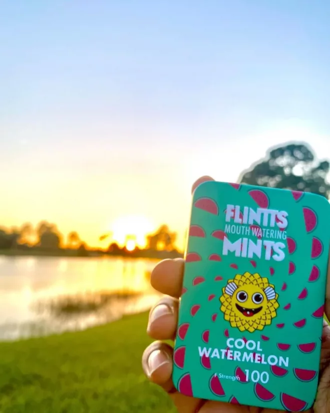 Flintts Mints - pastilky proti suchu v ústech - Cool Watermelon - F100
