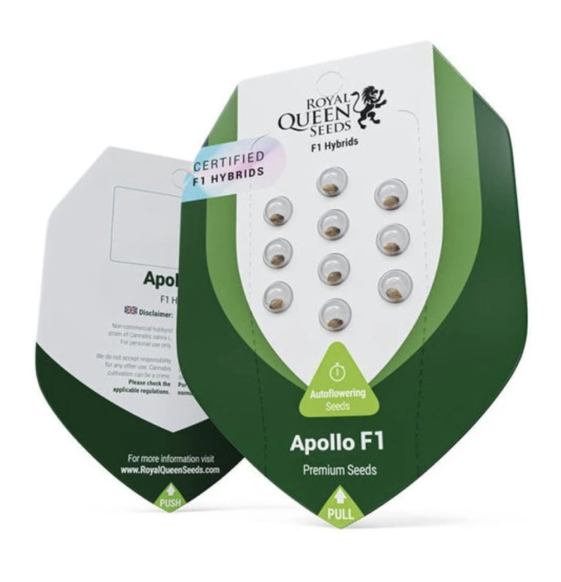Apollo F1 - feminizovaná semínka konopí - Počet semen v balení: 3