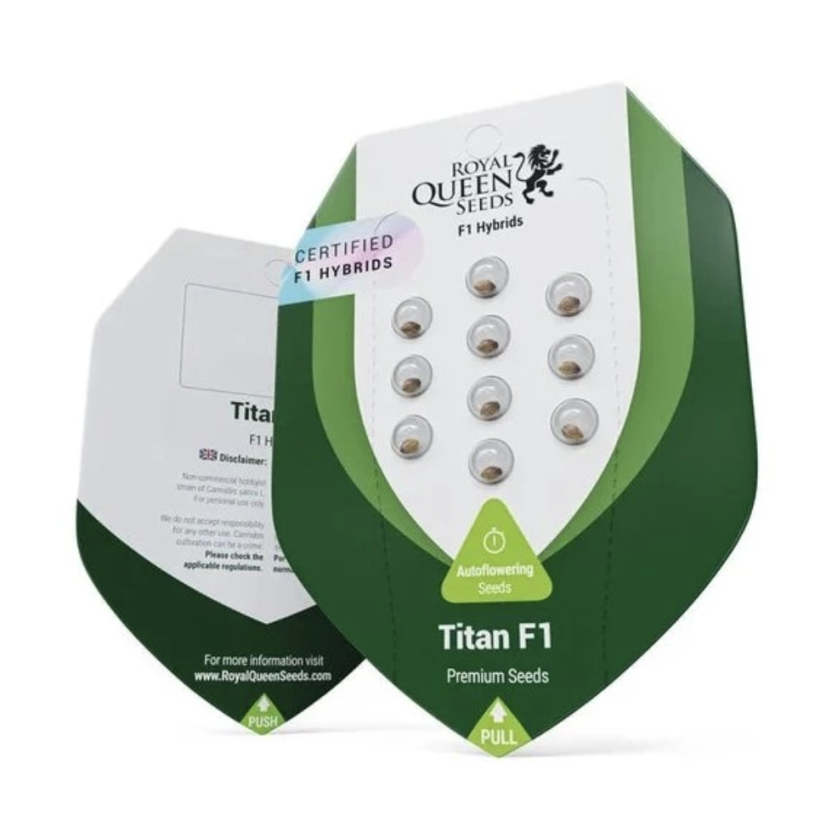 Titan F1 - samonakvétací semínka konopí - Počet semen v balení: 3