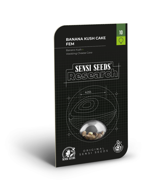 Banana Kush Cake - feminizovaná semínka konopí - Počet semen v balení: 1, Výrobce: Sensi Seeds