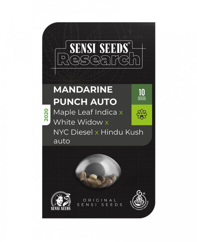 Mandarin Punch Auto - samonakvétací semínka konopí - Počet semen v balení: 1, Výrobce: Sensi Seeds