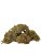 CBD konopí - Floberry Dream - Dobrý Šaman