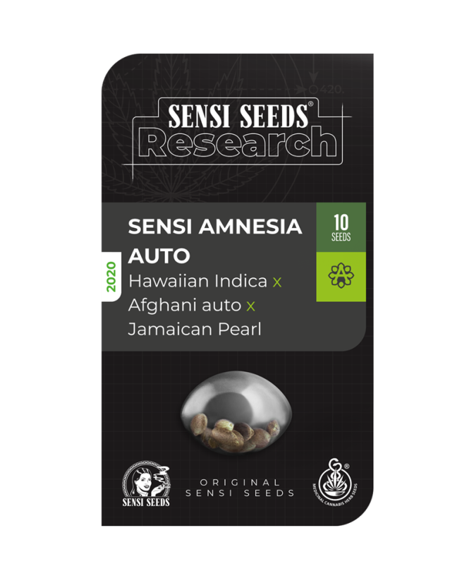 Sensi Amnesia Auto