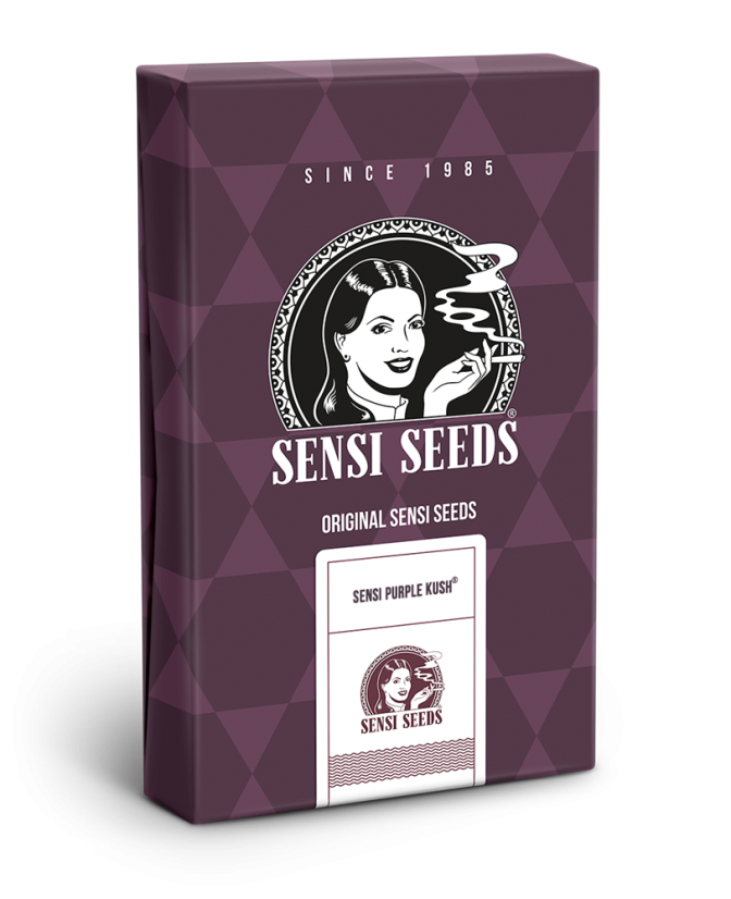 Sensi Purple Kush - feminizovaná semínka konopí