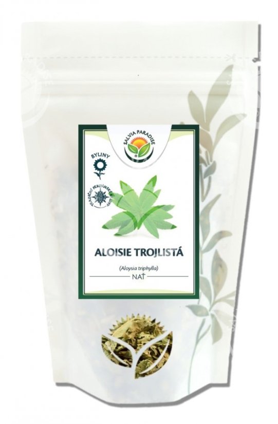 Aloisie trojlistá