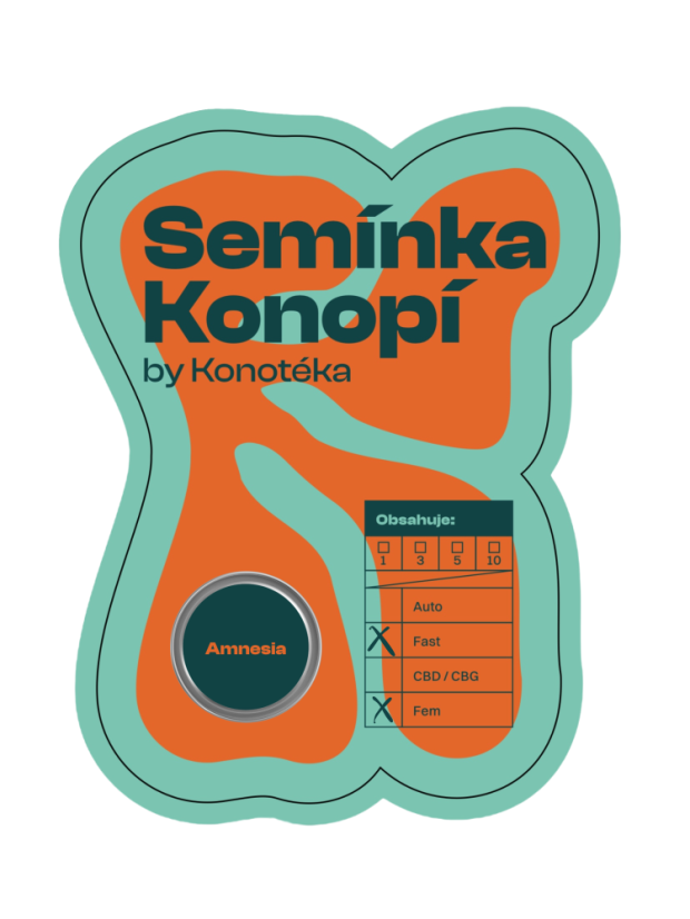 Amnesia Fast - feminizovaná semínka konopí - Počet semen v balení: 10