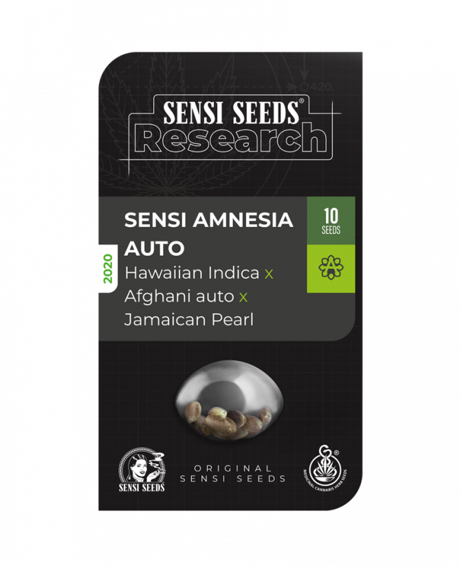 Sensi Amnesia Auto - samonakvétací semínka konopí - Počet semen v balení: 3, Výrobce: Sensi Seeds