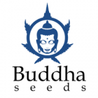 Buddha Seeds logo, prémiová semínka konopí ze Španělska