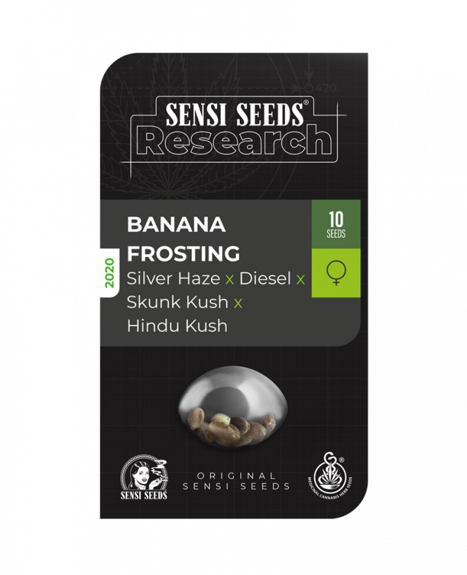 Banana Frosting - feminizovaná semínka konopí - Počet semen v balení: 5, Výrobce: Sensi Seeds