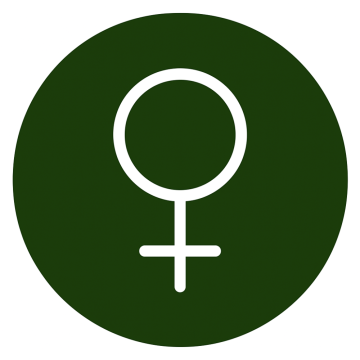 Feminizovaná semena konopí