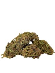 CBD konopí - Floberry Dream - Dobrý Šaman