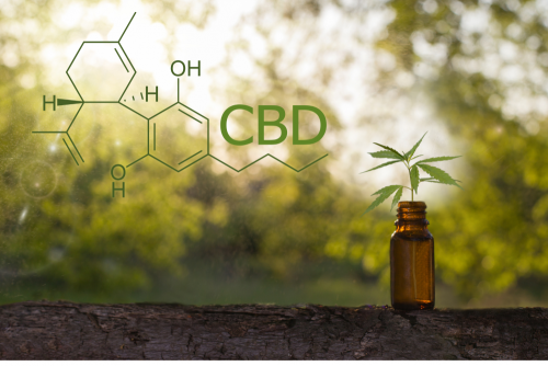 CBD - účinky, studie