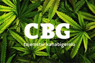 článek o CBG - kanabigerol 