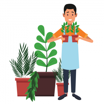 Semínka konopí pro začátečníky 👨‍🌾 - Způsob pěstování - Indoor 🪴